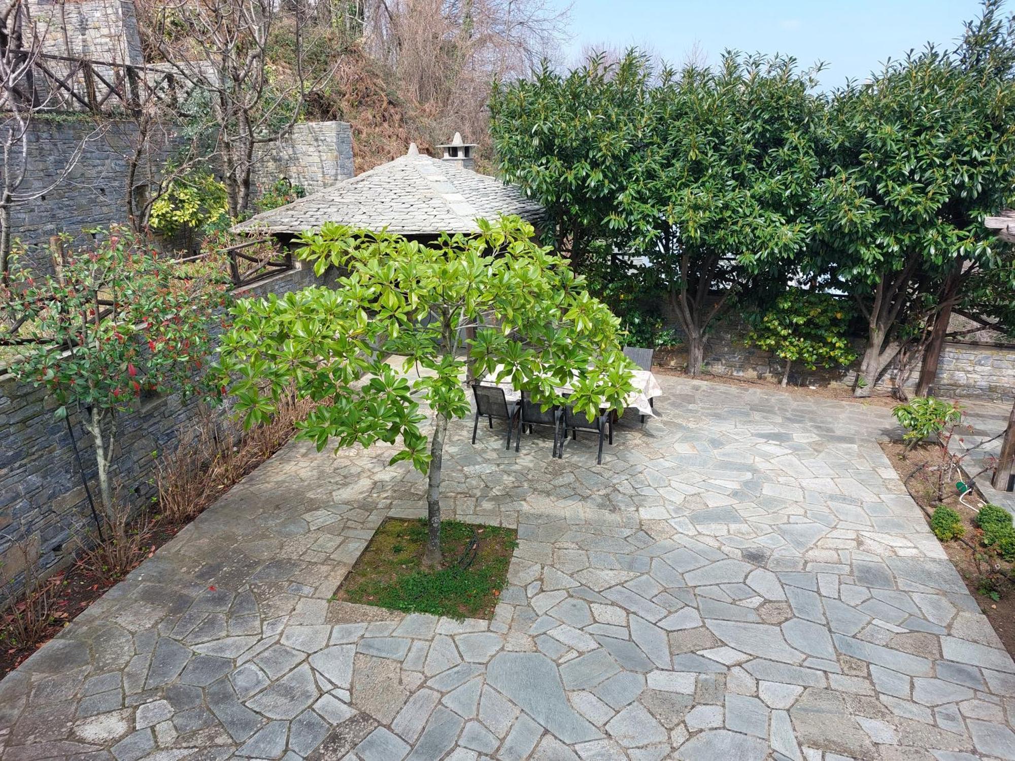 Θαλλώ Luxurious Villa Tsagkarada Værelse billede