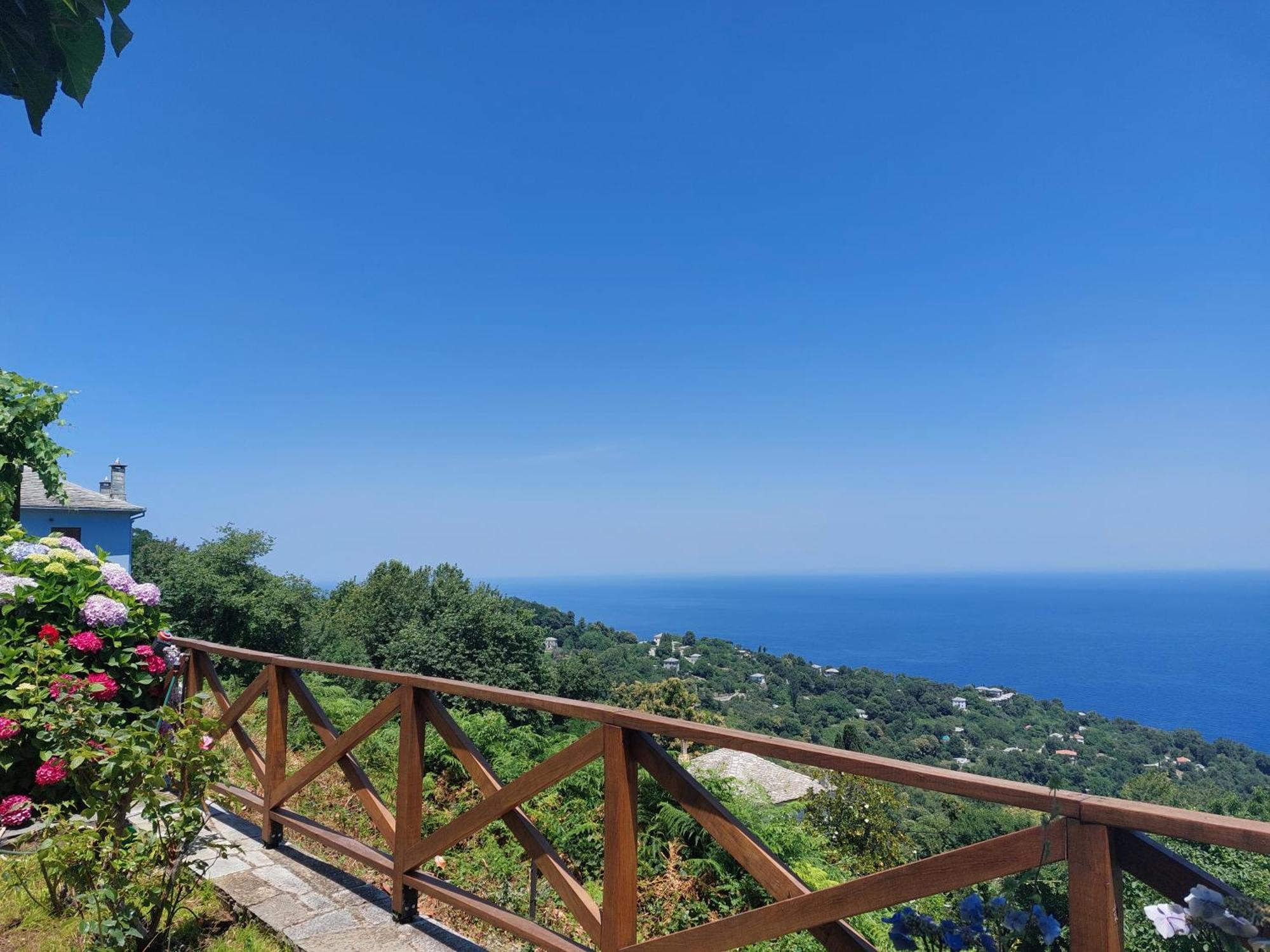 Θαλλώ Luxurious Villa Tsagkarada Værelse billede