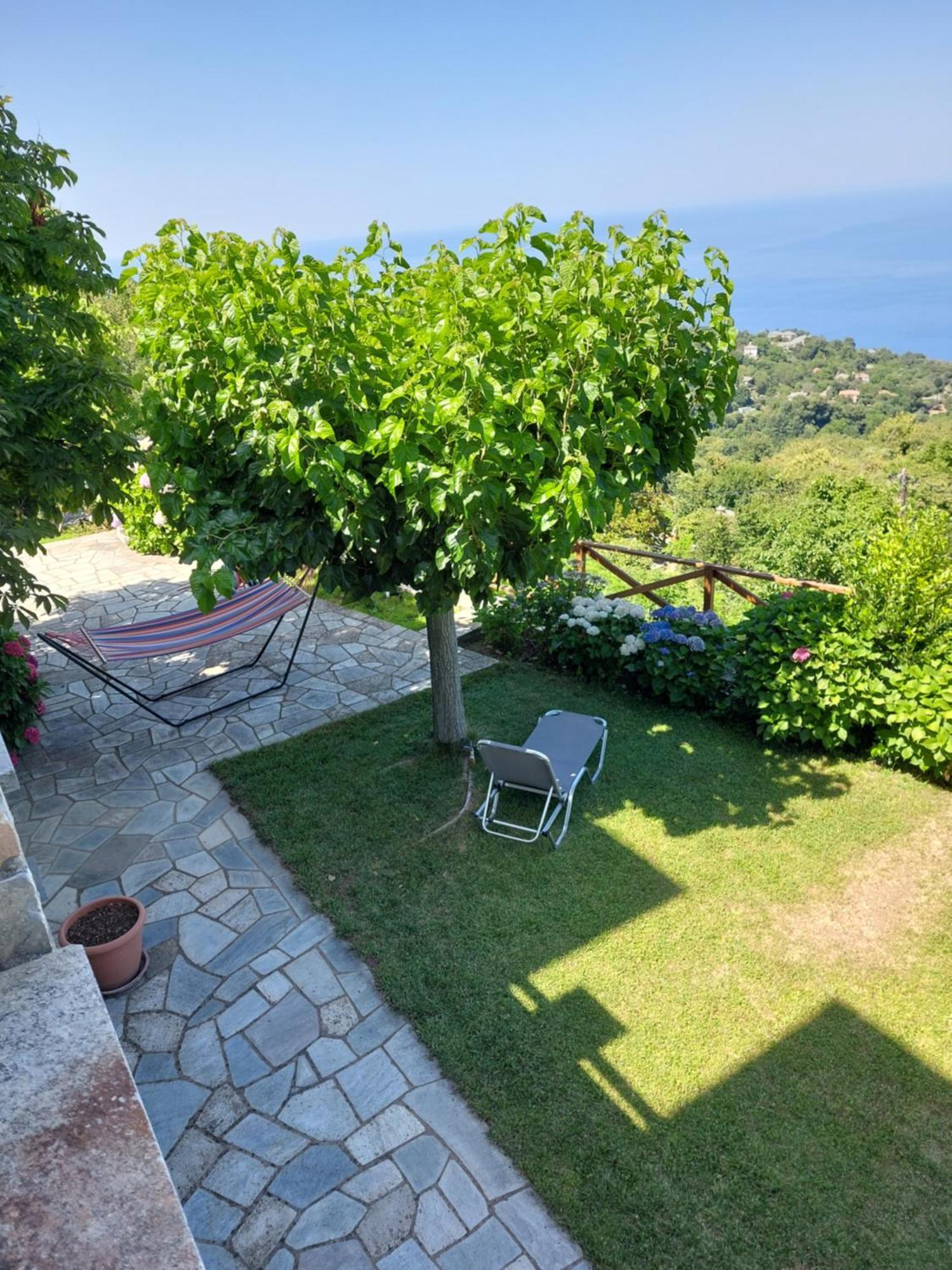 Θαλλώ Luxurious Villa Tsagkarada Værelse billede