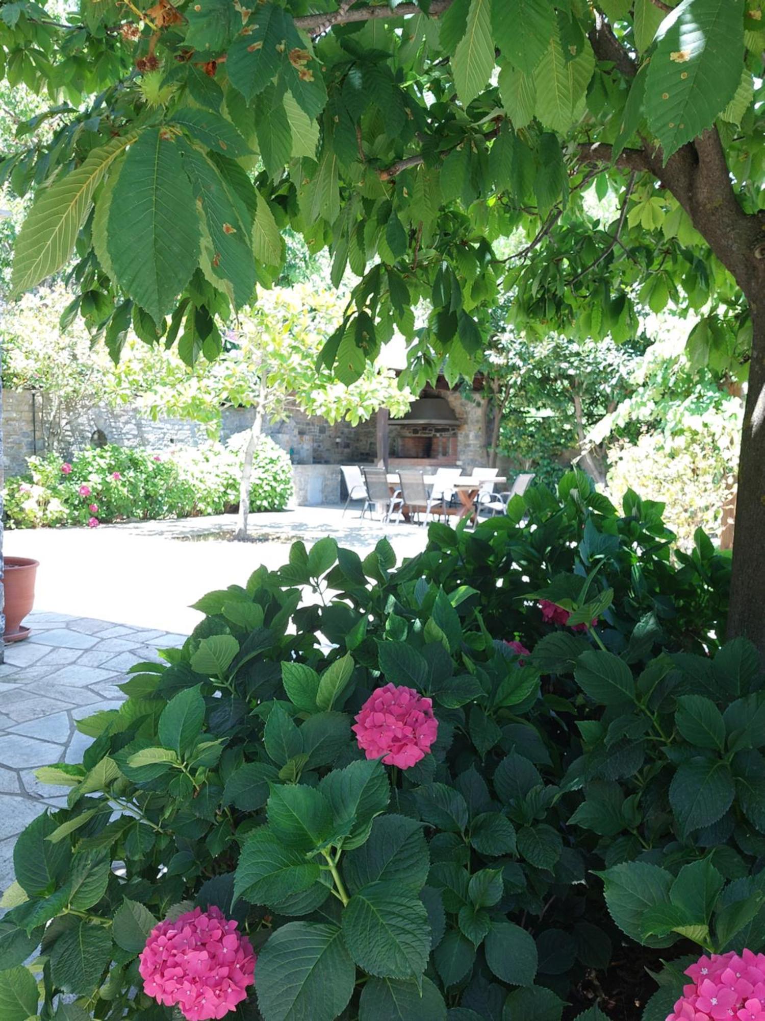 Θαλλώ Luxurious Villa Tsagkarada Eksteriør billede