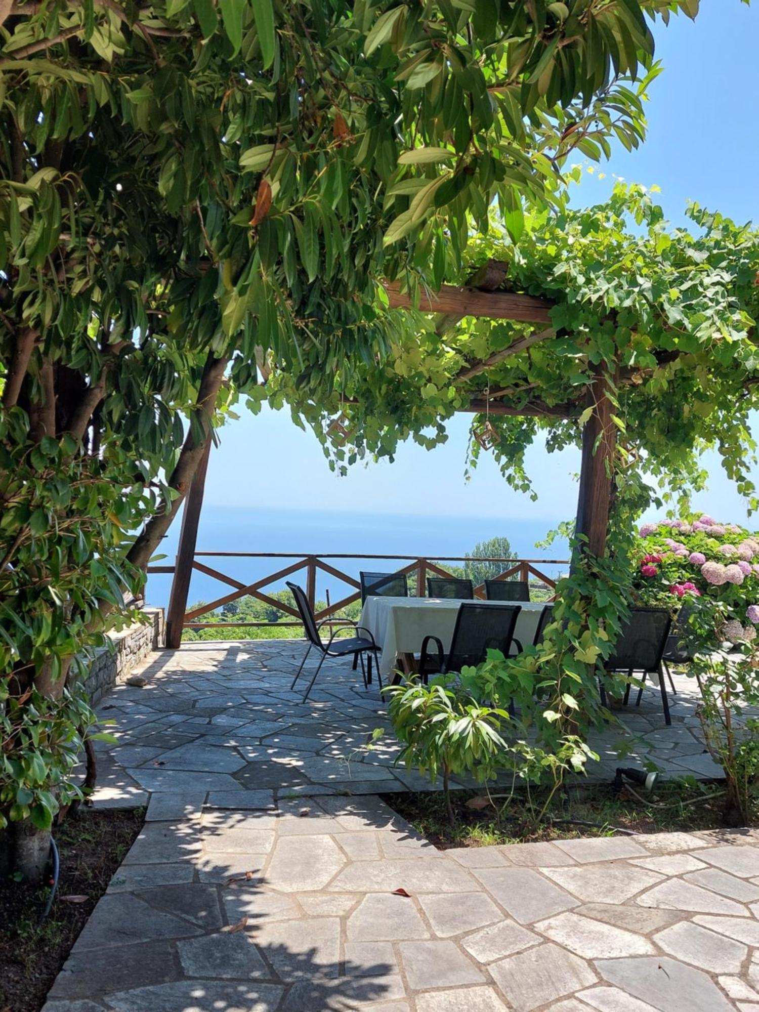 Θαλλώ Luxurious Villa Tsagkarada Eksteriør billede