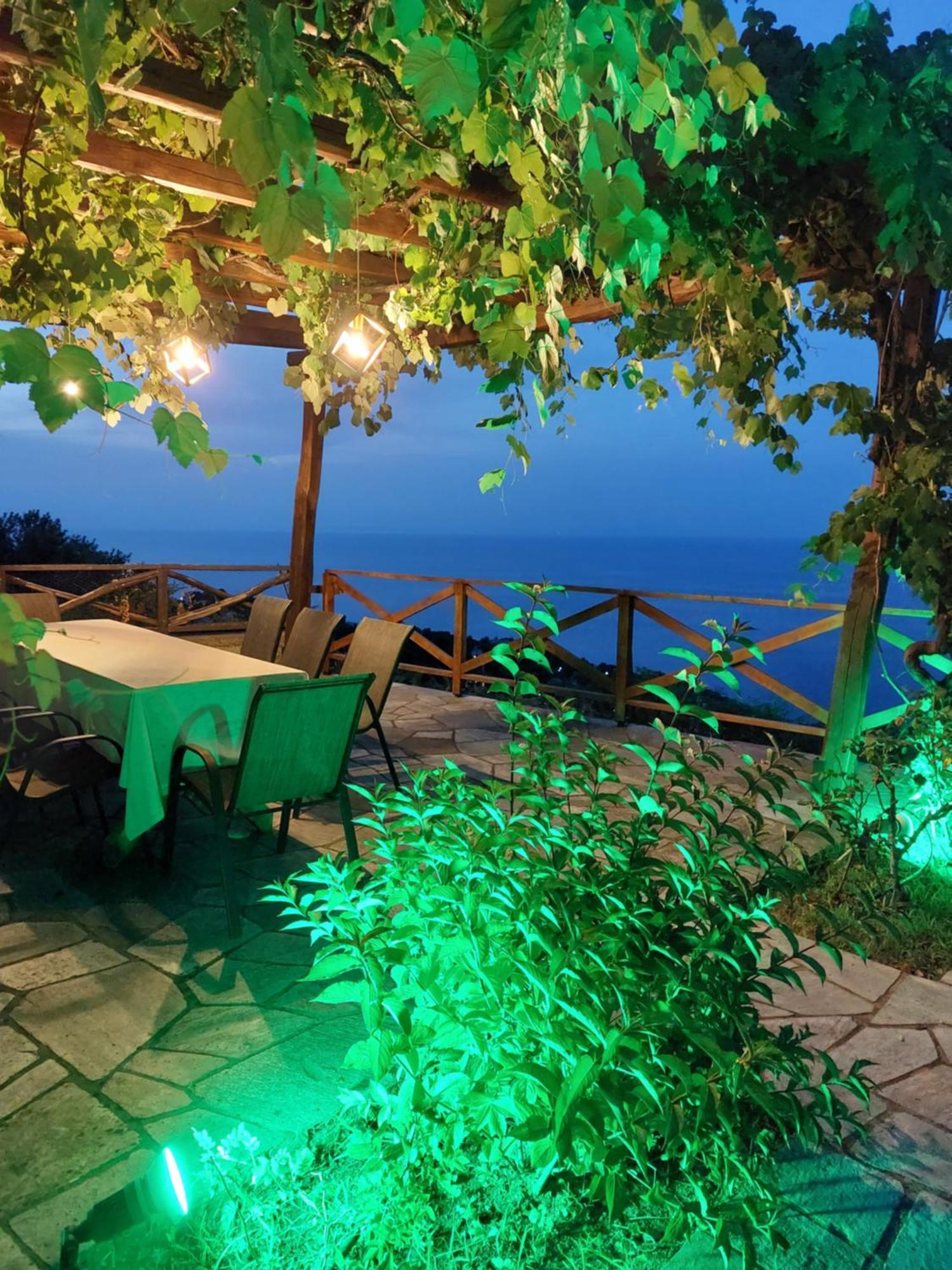 Θαλλώ Luxurious Villa Tsagkarada Eksteriør billede